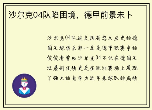 沙尔克04队陷困境，德甲前景未卜