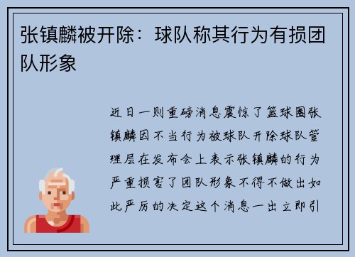 张镇麟被开除：球队称其行为有损团队形象